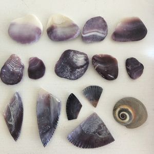 Meet your Posher, Cece